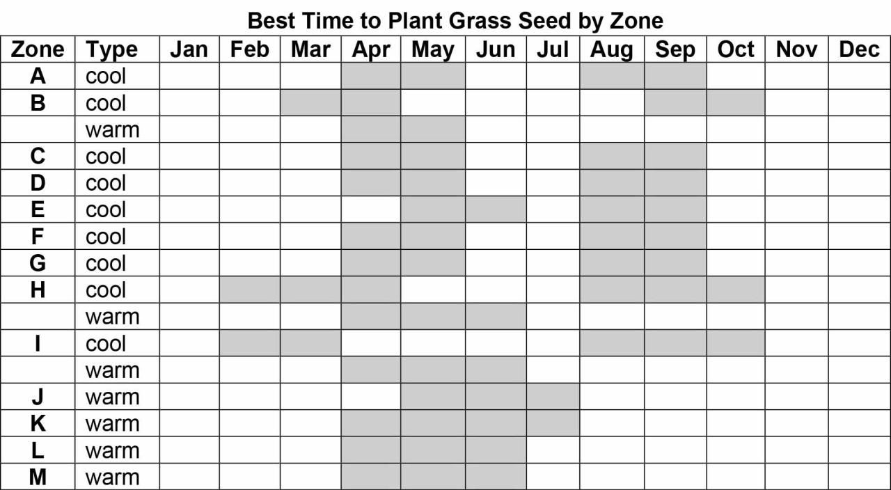 When to Sow Grass Seed in the UK for Optimal Lawn Health